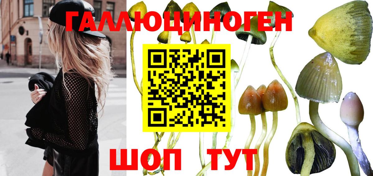 Псилоцибиновые грибы ЛСД Чернушка