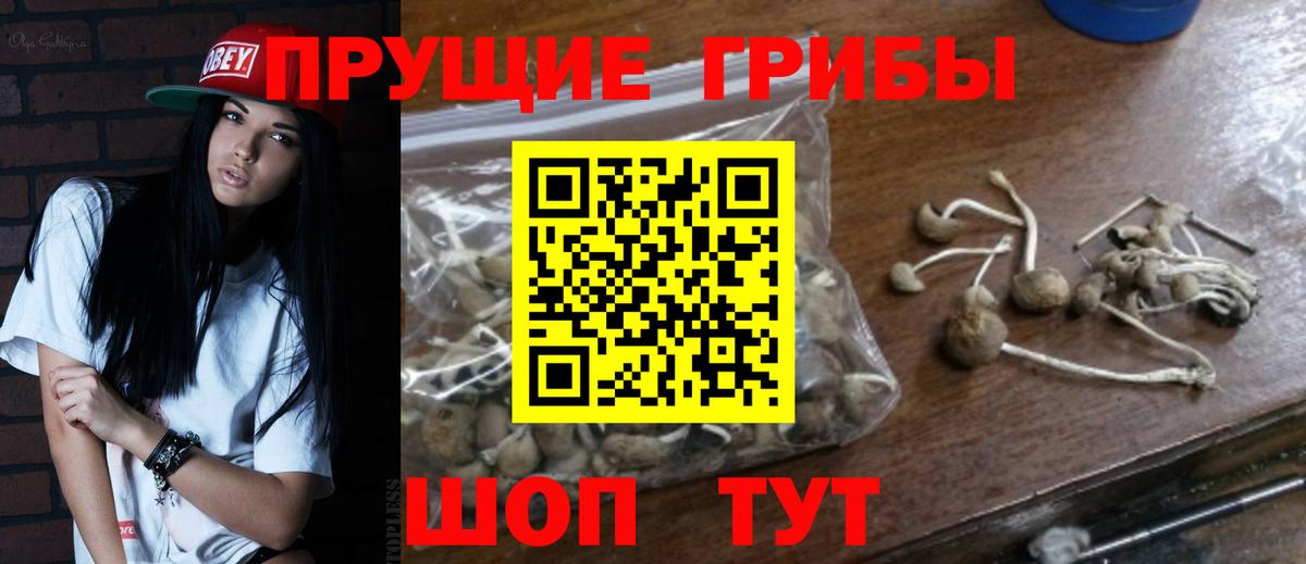 Чернушка  Галлюциногенные грибы Cubensis  Вход с VPN 